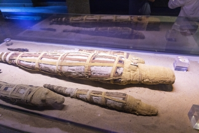 Mummified Crocodile Kom Ombo